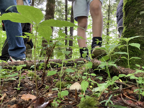 ファイル 326-3.jpg