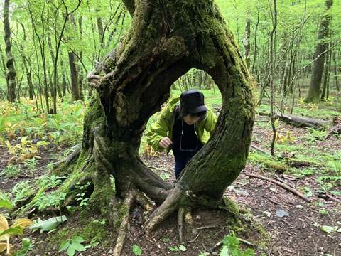 ファイル 326-4.jpg