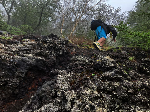 ファイル 326-5.jpg