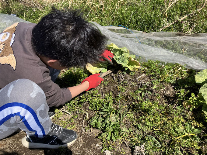 ファイル 352-2.jpg