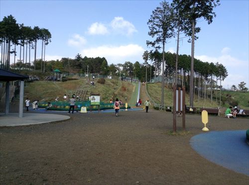 放課後等デイサービスcococolor