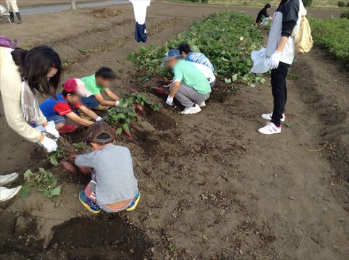 放課後等デイサービスcococolor