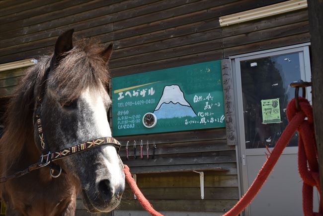 ファイル 57-1.jpg