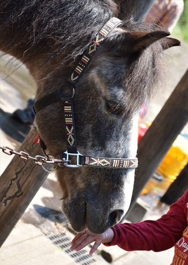 ファイル 57-5.jpg