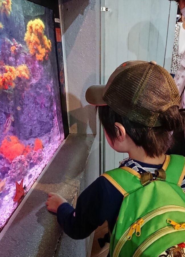 ファイル 59-1.jpg