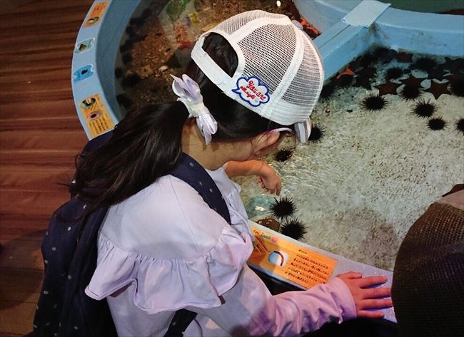 ファイル 59-2.jpg