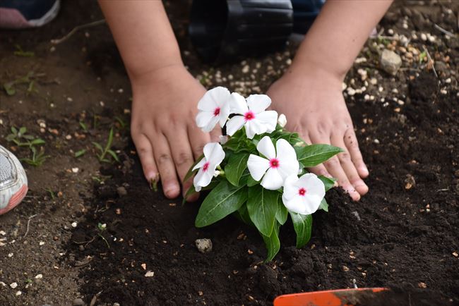 ファイル 62-2.jpg