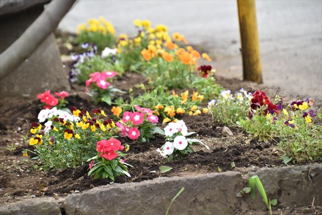 ファイル 62-3.jpg