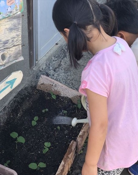 ファイル 66-1.jpg