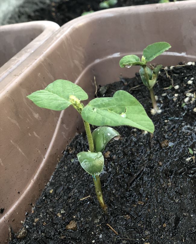 ファイル 66-2.jpg