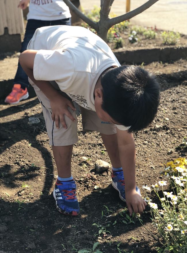 ファイル 66-3.jpg