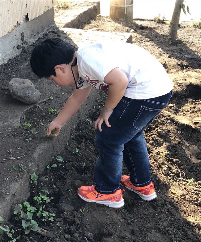 ファイル 66-4.jpg