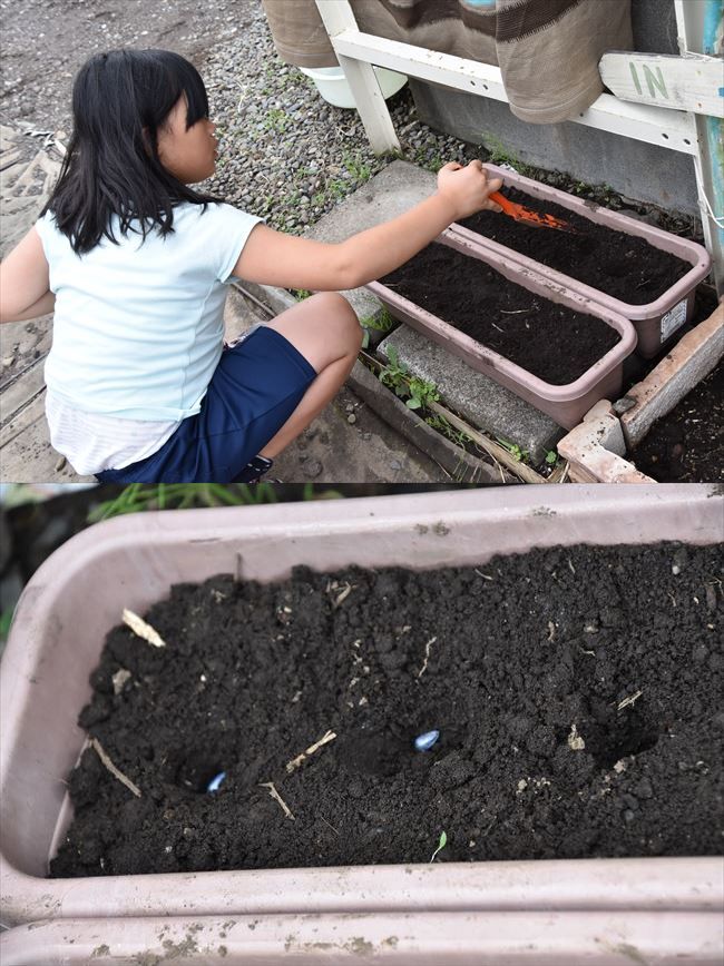 ファイル 68-3.jpg