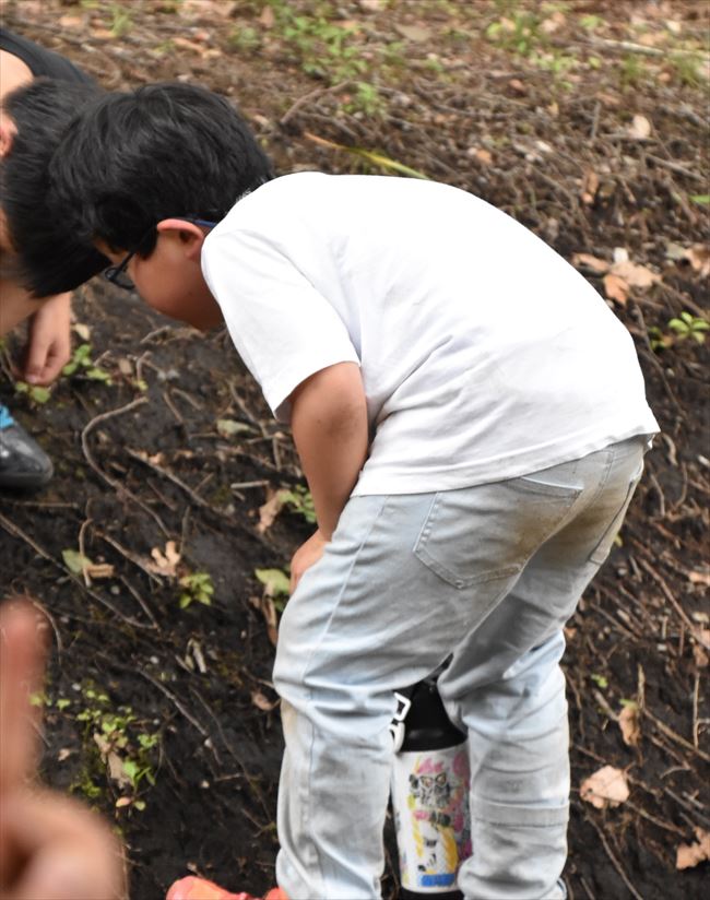 ファイル 69-4.jpg