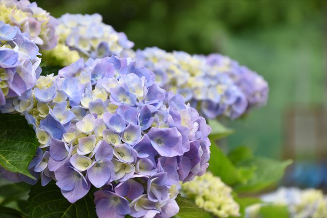 ファイル 69-5.jpg