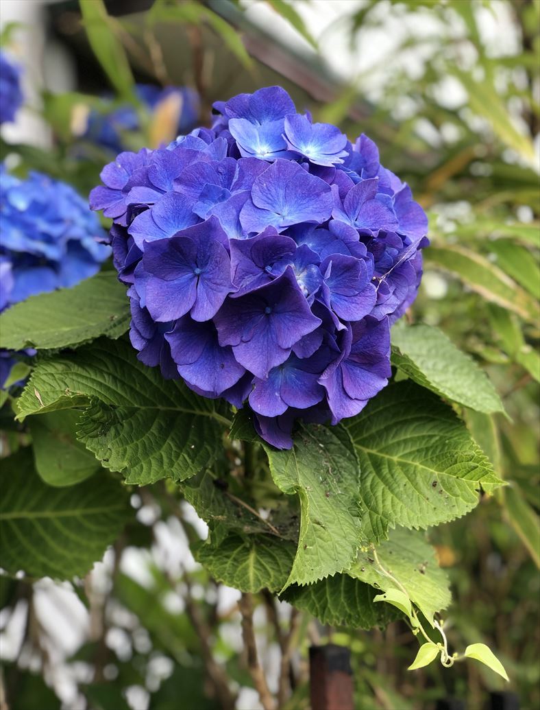 ファイル 76-5.jpg