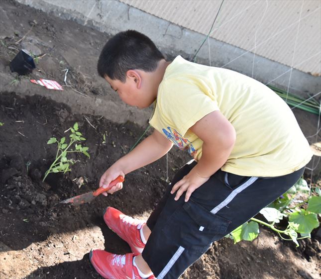 ファイル 78-1.jpg