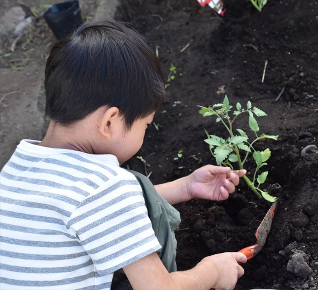 ファイル 78-2.jpg