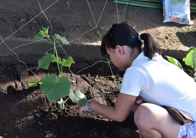 ファイル 78-5.jpg