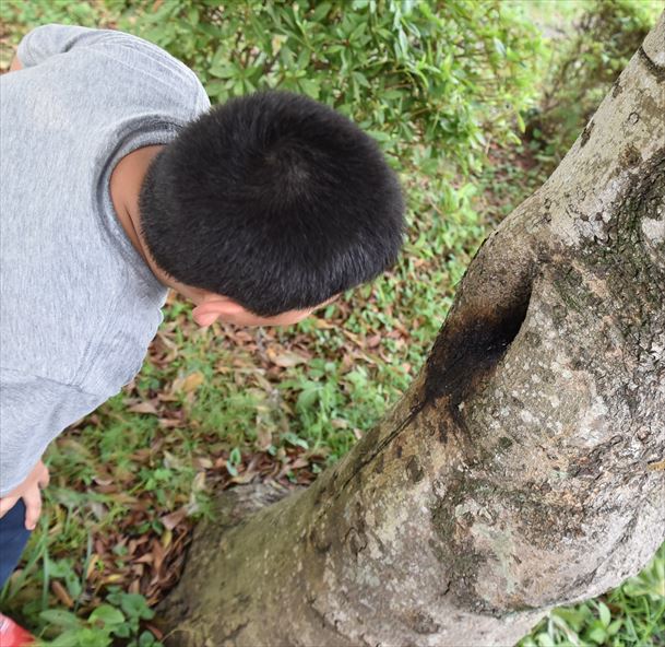 ファイル 79-4.jpg