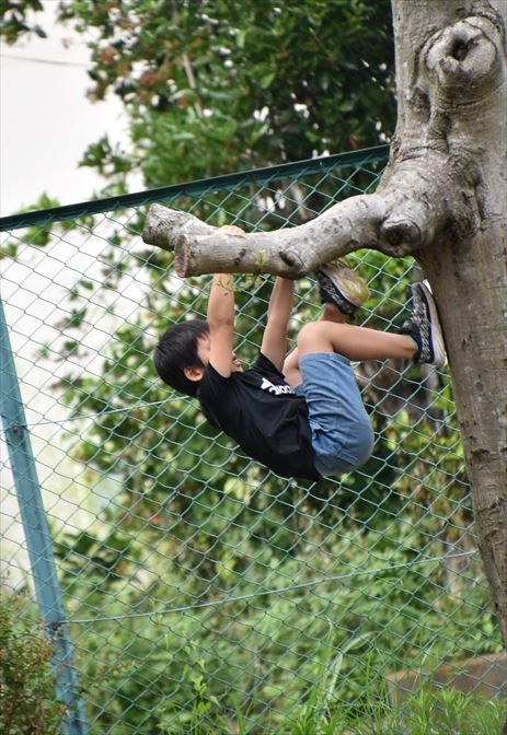 ファイル 81-4.jpg