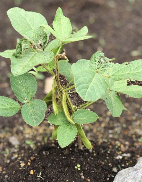 ファイル 83-5.jpg