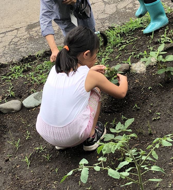 ファイル 84-2.jpg