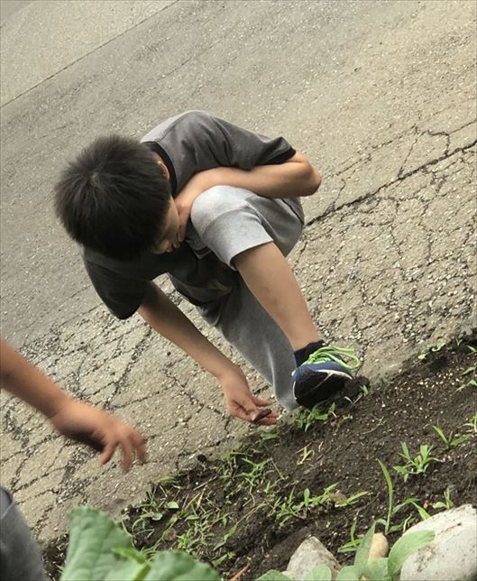 ファイル 84-3.jpg