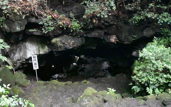 ファイル 85-1.jpg