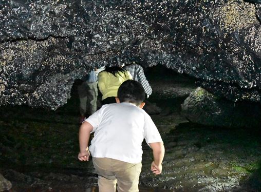 ファイル 85-3.jpg