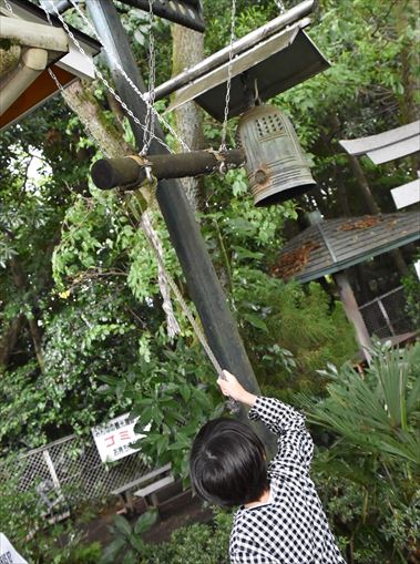 ファイル 85-5.jpg