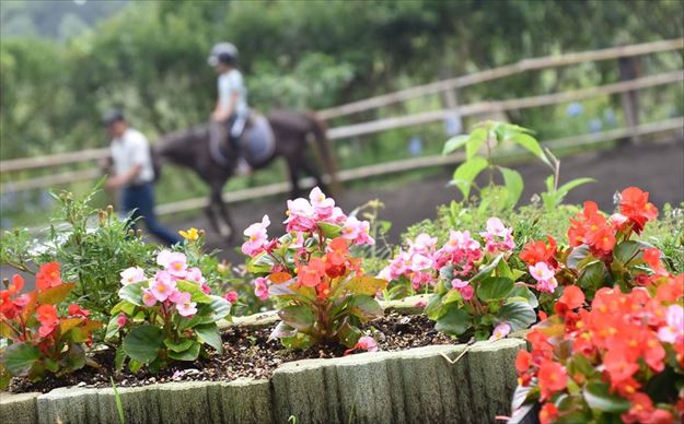 ファイル 89-1.jpg