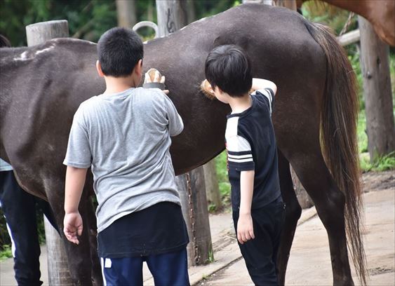 ファイル 89-2.jpg