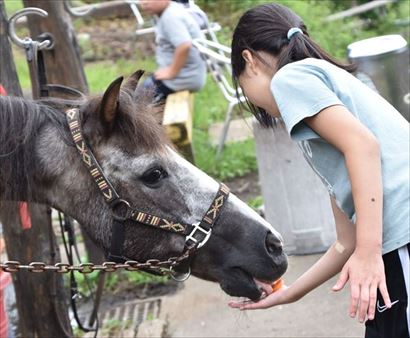 ファイル 89-5.jpg