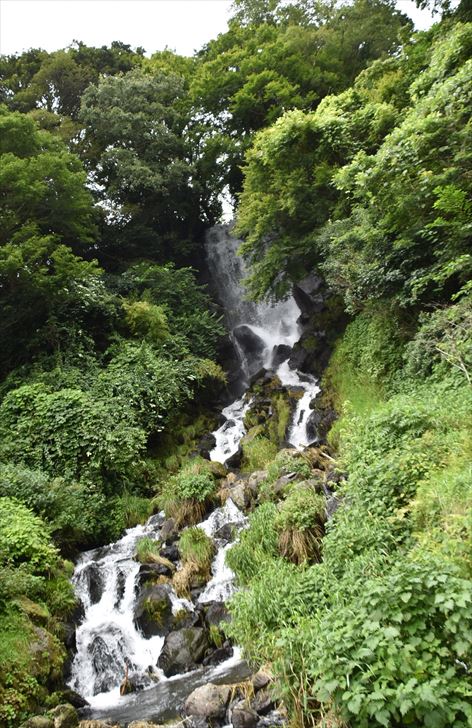 ファイル 93-1.jpg