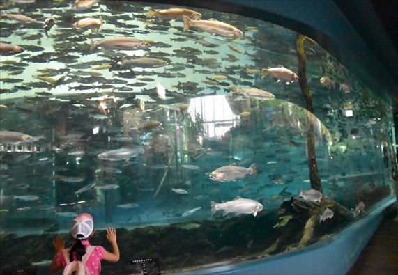 ファイル 98-2.jpg