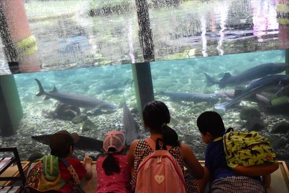 ファイル 98-3.jpg