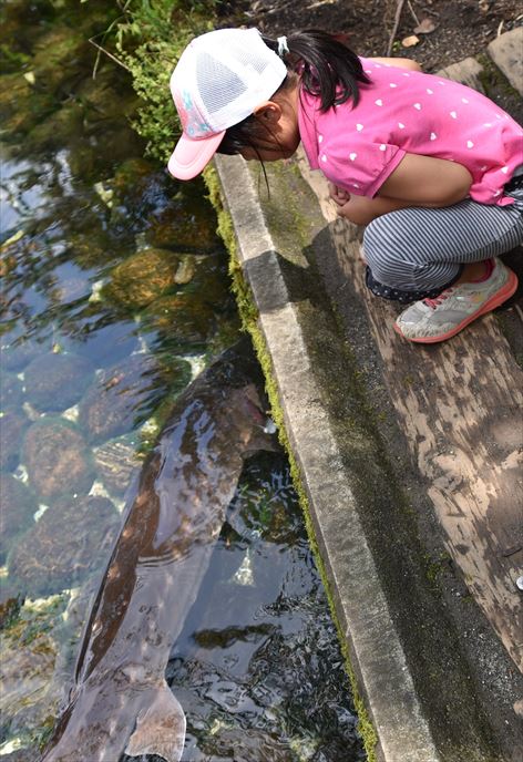 ファイル 98-5.jpg